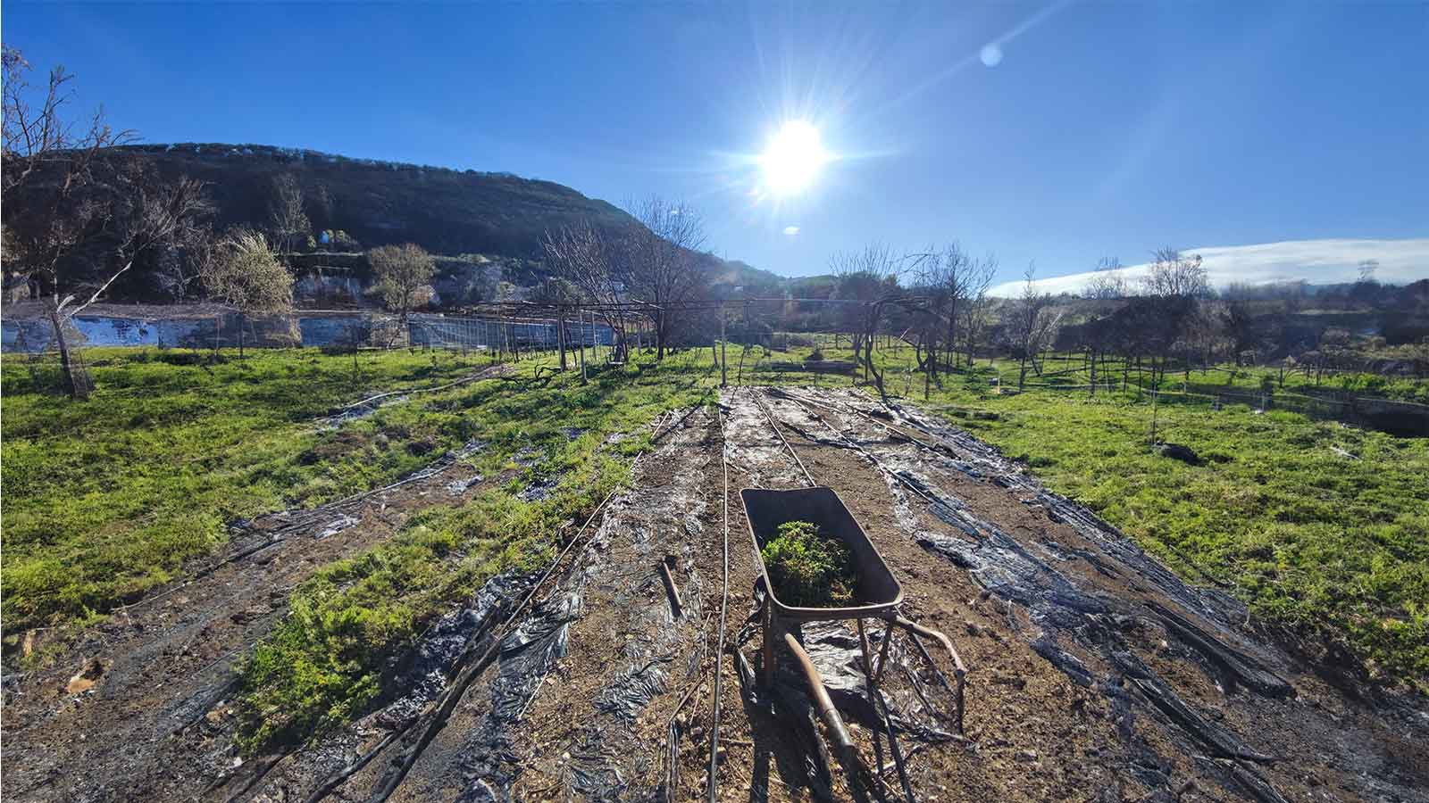 babas farm donja lastva seljanovo tivat montenegro